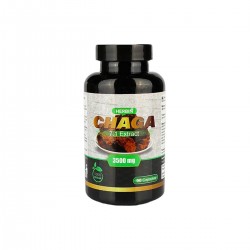 Chaga Extract 7:1, N 90