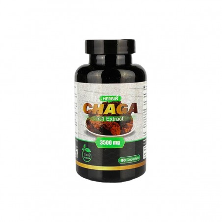 Chaga Extract 7:1, N 90