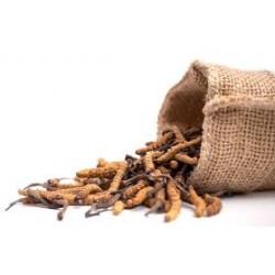 Korditseps 100% ekstrakt...