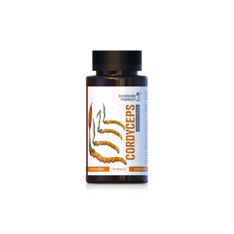 Korditsepsi ekstrakt, 60 kapslit - Golden Pharm